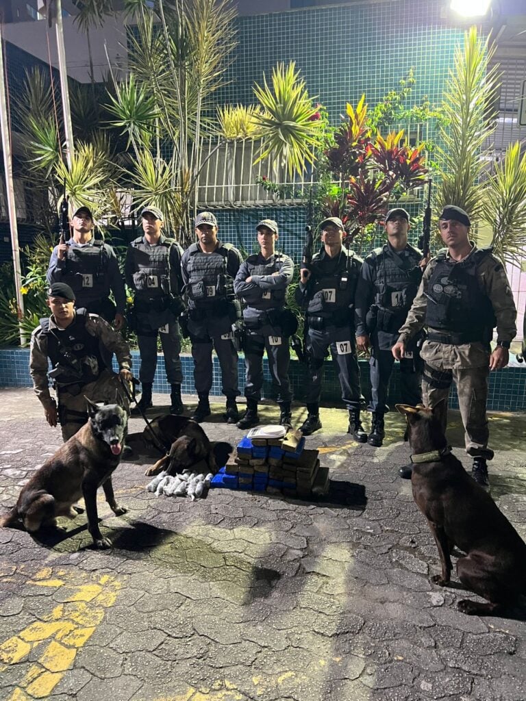 Imagem de 8 policiais militares posando para uma foto no pátio de uma delegacia com três cães farejadores e 43 tabletes de maconhas expostos no chão.