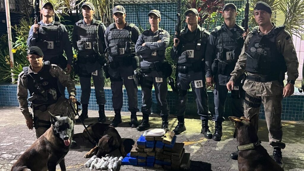 Operação do BAC termina com sujeito detido e apreensão de mais de 37 kg de maconha na Serra