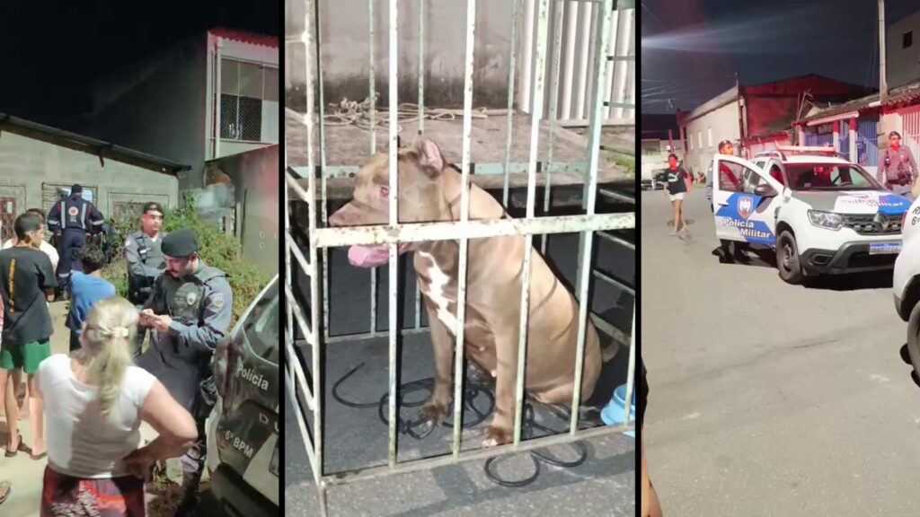 Briga de vizinhos termina em ataque de cão na Serra Sujeito faz cão atacar vizinhos durante treta em bairro da Serra