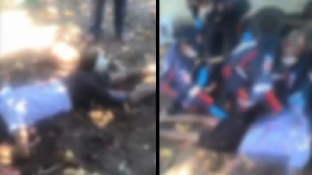 Homem morre após ser baleado junto com cão dentro de quintal na Serra As câmeras teriam flagrara um atirador invadindo o quintal e baleado o jovem com diversos disparos de arma de fogo em Jacaraípe